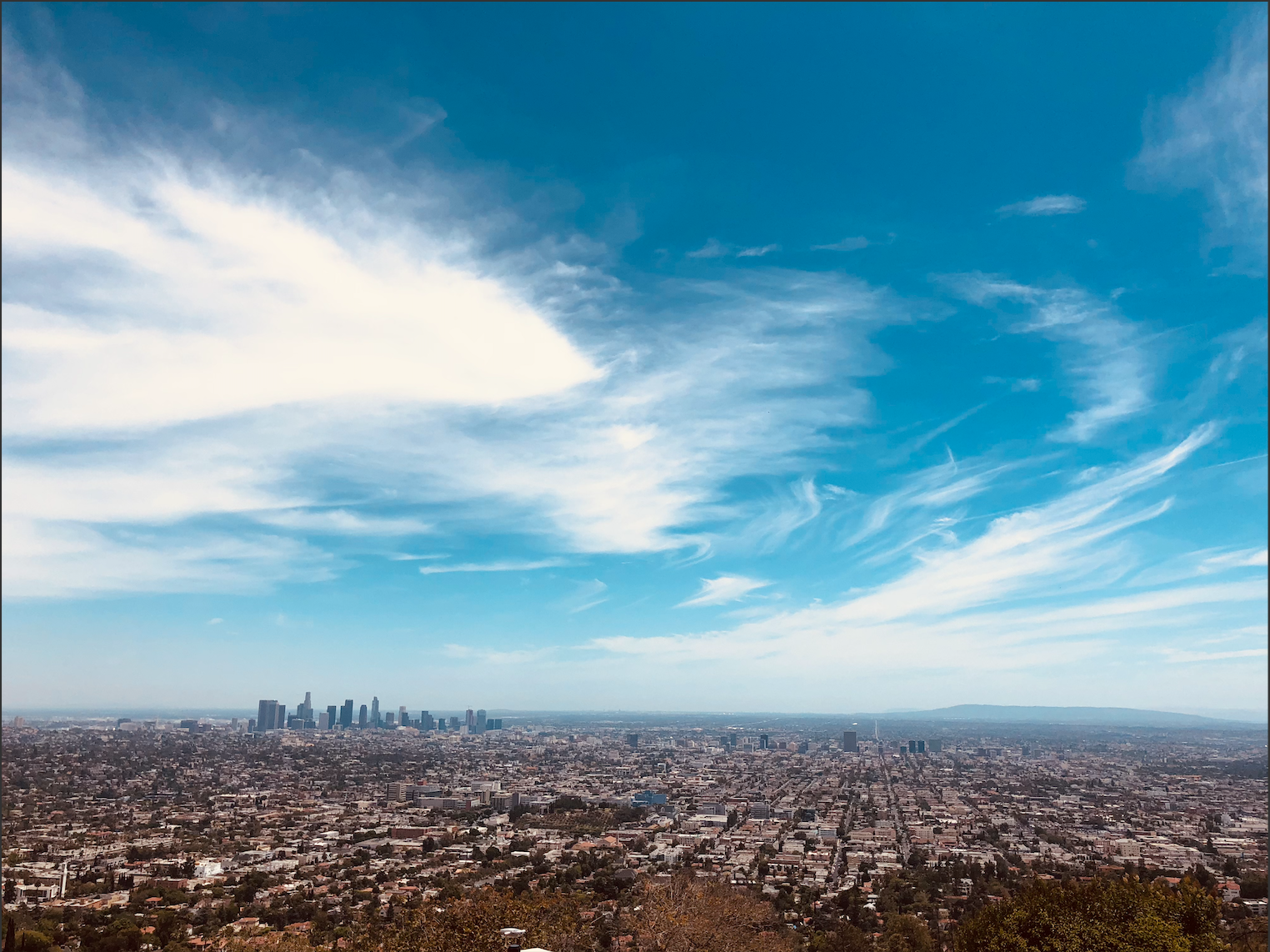 Los Angeles Landscape