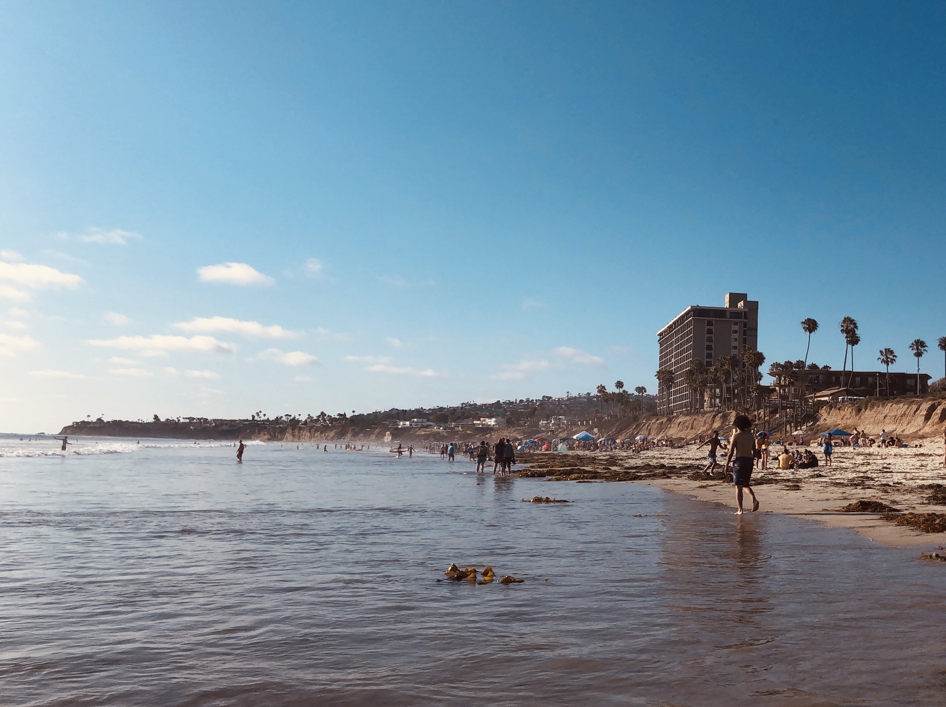 San Diego Landscape